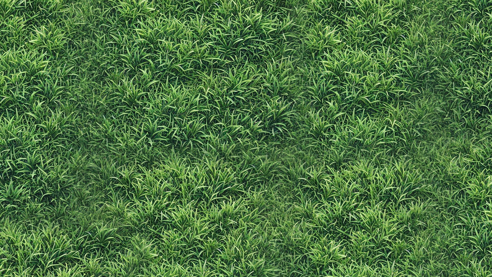 FC Voetbalveld
